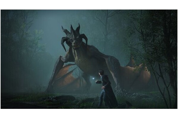 Dziedzictwo Hogwartu PC