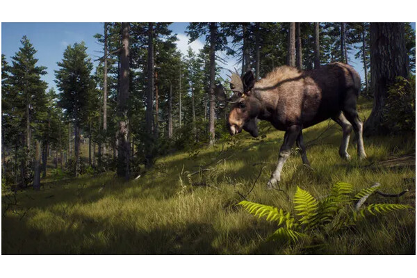 Way of the Hunter PlayStation 5