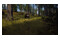 Way of the Hunter PlayStation 5