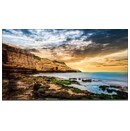 Monitor 75.0" Samsung QE75T czarny