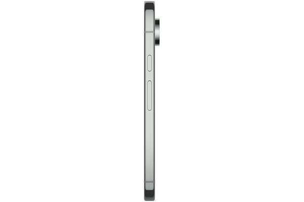 Smartfon Google Pixel 9 Pro 5G zielony 6.30" 16.0GB/128.0GB