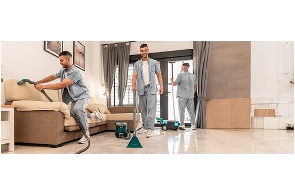 Odkurzacz Cecotec 10000 Conga Home tradycyjny z pojemnikiem 800W czarno-zielony