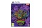 Teenage Mutant Ninja Turtles Mutants Unleashed PlayStation 5