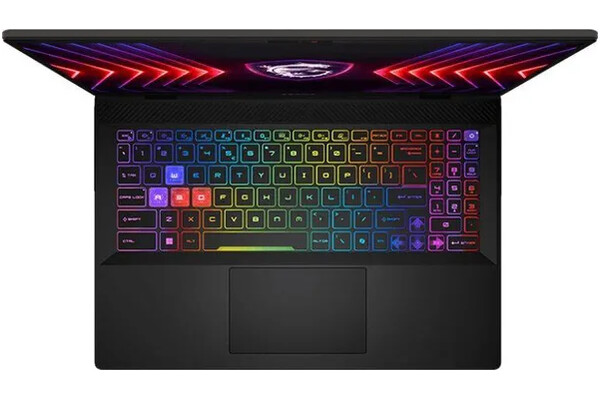 Laptop MSI Sword 16 16.0" Intel Core i9 14900HX NVIDIA GeForce RTX 4070 16GB 1TB SSD szary