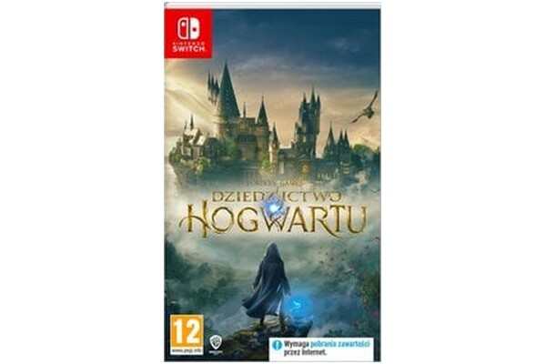 Dziedzictwo Hogwartu (Hogwarts Legacy) Nintendo Switch