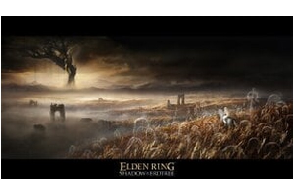 Elden Ring Shadow of The Erdtree Edycja Kolekcjonerska Xbox (One/Series X)