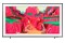 Telewizor Samsung QE85LS03FW 85" 4K Ultra HD The Frame