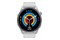 Smartwatch Denver SWC392B 1.43" szary