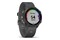 Smartwatch Garmin Forerunner 245 1.20" szary