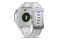 Smartwatch Garmin Forerunner 165 1.20" szary