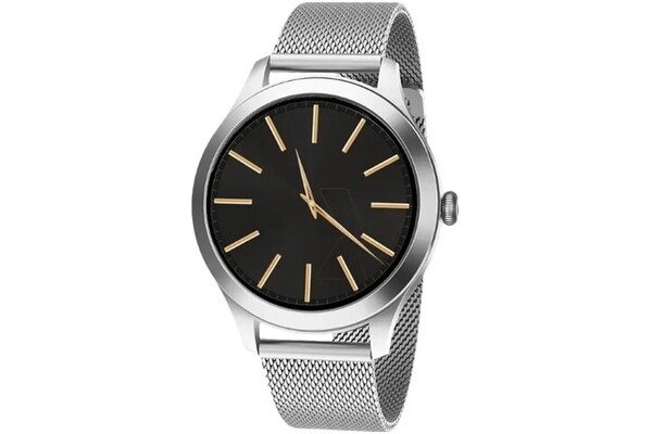 Smartwatch MaxCom FW44 Fit 1.20" srebrny