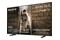 Telewizor Sony K98XR55BP 98" 4K Ultra HD