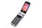 Smartfon myPhone Rumba 2 srebrny 0.30" poniżej 0.1GB/