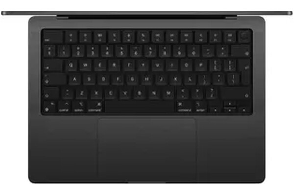 Laptop Apple MacBook Pro 14.2" Apple M4 M4 16GB 1TB SSD macOS Sequoia czarny