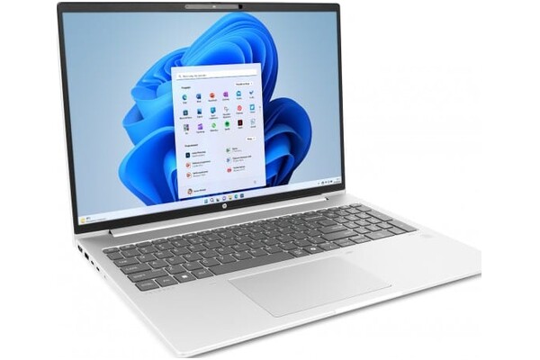 Laptop HP ProBook 465 G11 16.0" AMD Ryzen 5 7535U AMD Radeon 660M 32GB 2TB SSD Windows 11 Home srebrny