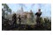The Elder Scrolls Online Collection Blackwood Xbox (One/Series S/X)