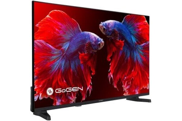 Telewizor GoGEN TVF40P420T 40" Full HD