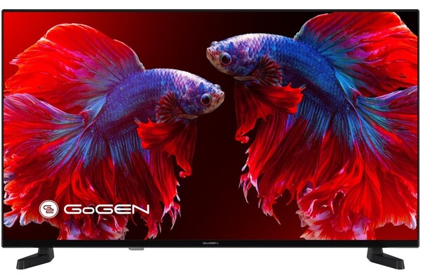 Telewizor GoGEN TVF40P420T 40" Full HD