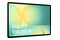 Tablet Samsung Galaxy Tab S1 FE+ 13.10" Samsung Exynos 1580 8.0GB/128GB, WiFi, srebrny