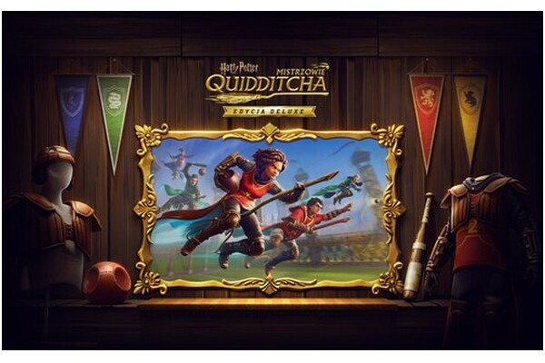 Harry Potter Mistrzowie Quidditcha Edycja Deluxe Nintendo Switch