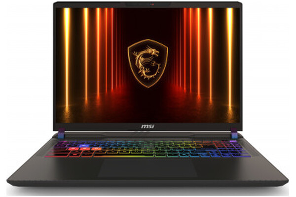 Laptop MSI Vector 16 16.0" Intel Core Ultra 9 275HX NVIDIA GeForce RTX 5080 16GB 1TB SSD Windows 11 Home szary