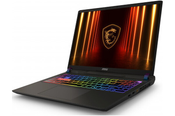Laptop MSI Vector 16 16.0" Intel Core Ultra 9 275HX NVIDIA GeForce RTX 5080 16GB 1TB SSD Windows 11 Home szary