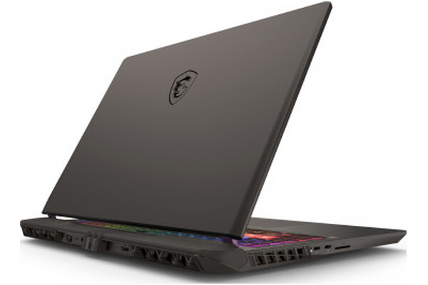 Laptop MSI Vector 16 16.0" Intel Core Ultra 9 275HX NVIDIA GeForce RTX 5080 16GB 1TB SSD Windows 11 Home szary