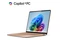 Laptop Microsoft Surface Laptop 13.8" Qualcomm Snapdragon Snapdragon X Plus Qualcomm Adreno Onboard 16GB 512GB SSD Windows 11 Home Zielono-pomarańczowy