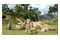 LEGO Jurassic World PlayStation 4