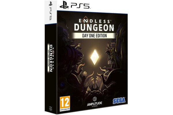 Endless Dungeon Edycja Premierowa PlayStation 5
