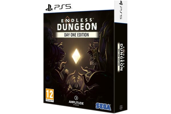 Endless Dungeon Edycja Premierowa PlayStation 5