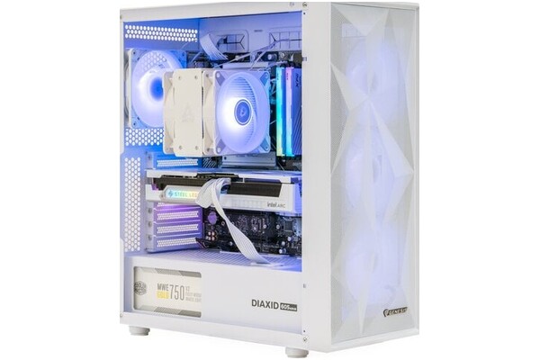Mad Dog W-I03DR32WP Intel Core i5 32GB DDR5 Intel Arc B580 12GB 1TB SSD Windows 11 Professional