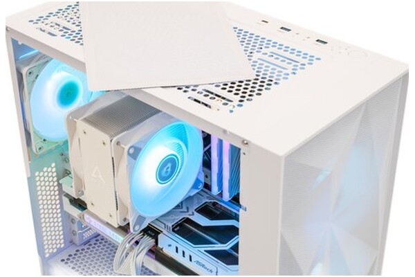 Mad Dog W-I03DR32WP Intel Core i5 32GB DDR5 Intel Arc B580 12GB 1TB SSD Windows 11 Professional