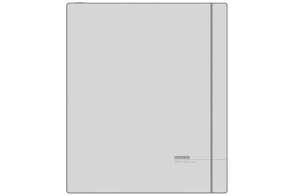 Czytnik Onyx BOOX Note Max 6GB szary