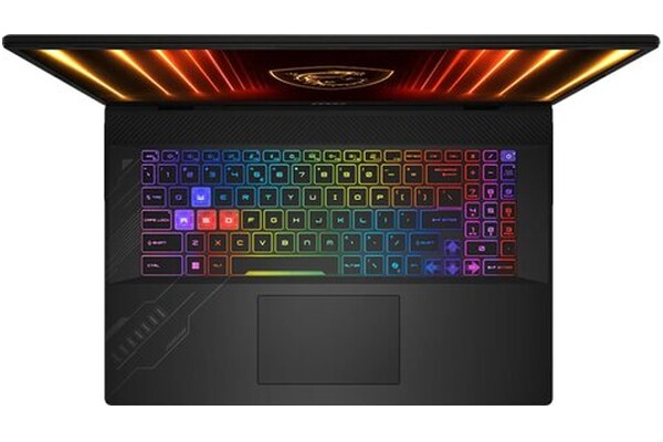 Laptop MSI Crosshair 17 17.0" Intel Core Ultra 9 275HX NVIDIA GeForce RTX 5070 16GB 1TB SSD szary