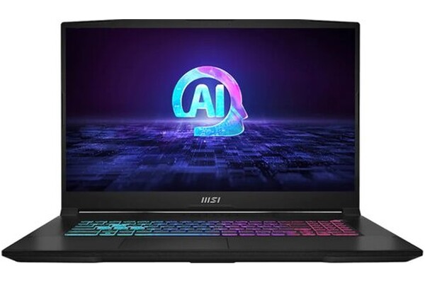 Laptop MSI Katana 17 17.3" AMD Ryzen 7 8845HS NVIDIA GeForce RTX 4060 16GB 1TB SSD czarny
