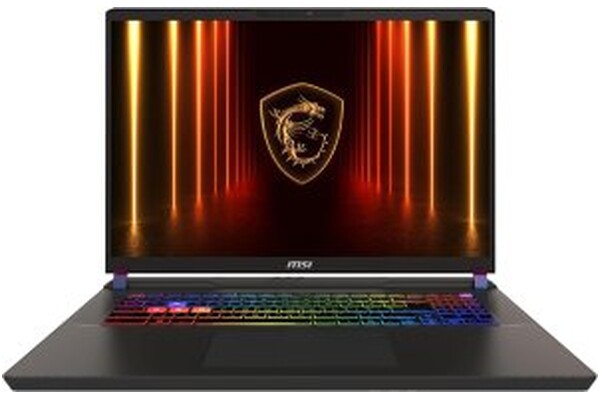 Laptop MSI Vector 17 17.0" Intel Core Ultra 9 275HX NVIDIA GeForce RTX 5090 32GB 1TB SSD M.2 czarny