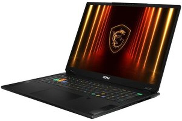 Laptop MSI Stealth 18 18.0" Intel Core Ultra 9 275HX NVIDIA GeForce RTX 5080 4GB 2TB SSD M.2 Windows 11 Professional czarno-biały