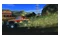 TY the Tasmanian Tiger HD Bush Rescue Bundle Nintendo Switch