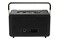 głośnik Bluetooth JBL Authentics 300 czarny