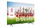 Telewizor TCL 50" 4K Ultra HD 50C645