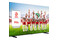 Telewizor TCL 98" 4K Ultra HD 98X955