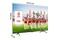 Telewizor TCL 55" 4K Ultra HD 55C75