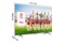 Telewizor TCL 50" 4K Ultra HD 50P755