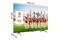Telewizor TCL 65" 4K Ultra HD 65P755