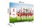 Telewizor TCL 75" 4K Ultra HD 75P755