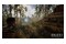 S.T.A.L.K.E.R. 2 Serce Czarnobyla Xbox (Series X)