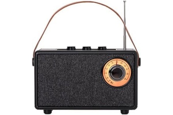 głośnik Bluetooth Camry CR1902 czarny