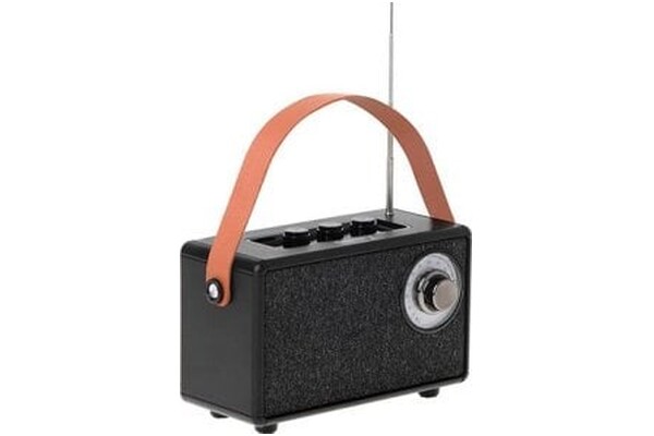 głośnik Bluetooth Camry CR1902 czarny