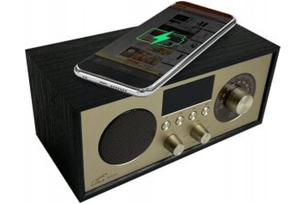 głośnik Bluetooth LTC LXLTC511 czarny